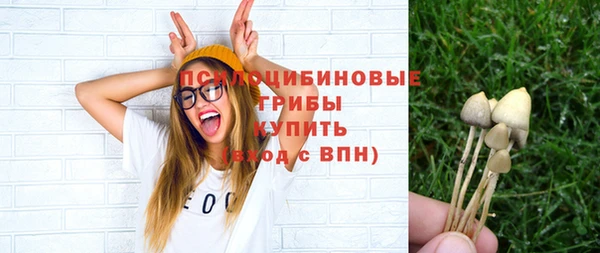 эйфоретик Алексеевка
