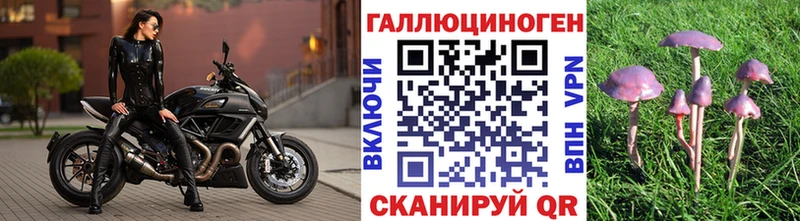 Псилоцибиновые грибы Psilocybine cubensis  blacksprut ТОР  Неман  закладки 